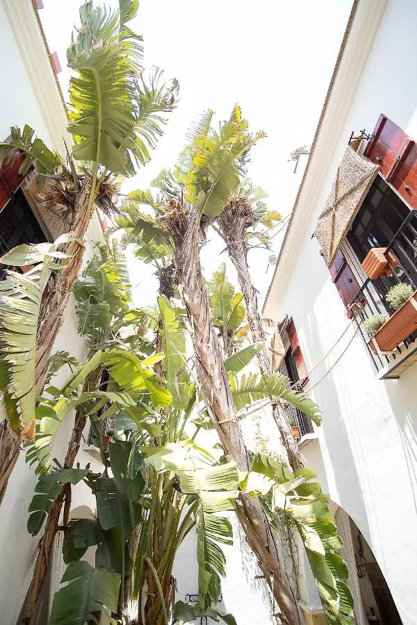 La Casa 1832 Boutique Bed & Breakfast Sanlucar de Barrameda